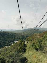 🐻✨【熊熊揮手Say Hi!】登別熊牧場親子放電大冒險!纜車上山睇靚景、餵熊熊互動超有趣、仲有鴨仔賽跑同小熊萌爆登場~一家大細一齊出發,開心又放電!