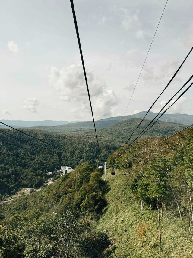 🐻✨【熊熊揮手Say Hi!】登別熊牧場親子放電大冒險!纜車上山睇靚景、餵熊熊互動超有趣、仲有鴨仔賽跑同小熊萌爆登場~一家大細一齊出發,開心又放電!  🐻✨【熊熊揮手Say Hi!】登別熊牧場親子放電大冒險!纜車上山睇靚景、餵熊熊互動超有趣、仲有鴨仔賽跑同小熊萌爆登場~一家大細一齊出發,開心又放電!