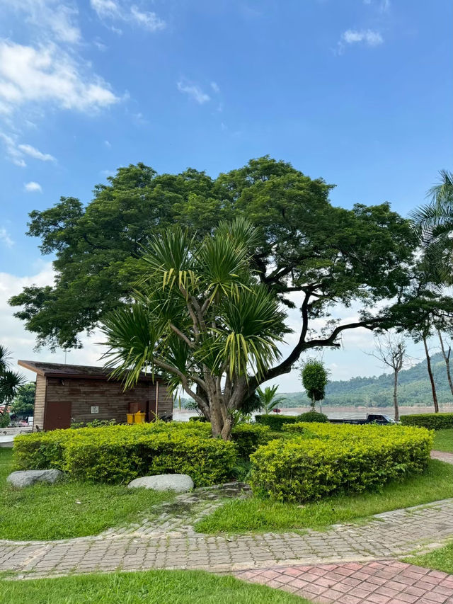 🌿แก่งคุดคู้ เชียงคาน🌳