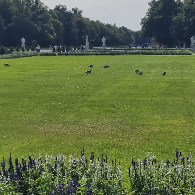 Schlosspark Nymphenburg