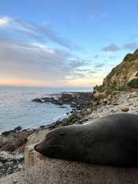 坐纜車上Skyline俯瞰美景  