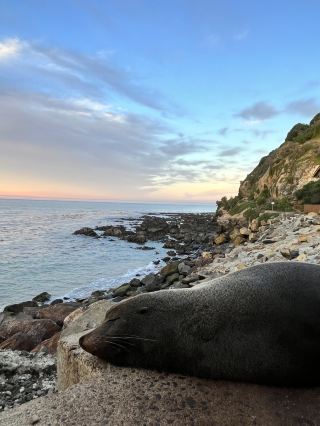 Take the cable car to the Skyline and enjoy the beautiful view