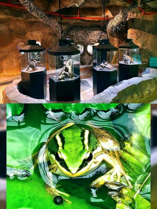 🐛🌺🦋🌿 A Magical World of Butterflies at Entopia Penang.