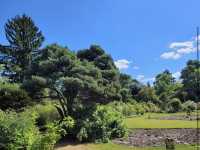 Arboretum Kalmthout