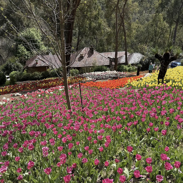 Araluen Botanic Park
