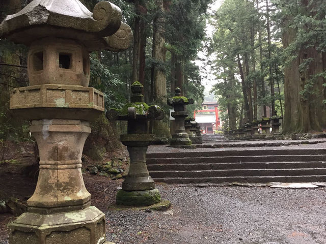 Fujiyoshida Forest Gem🌲