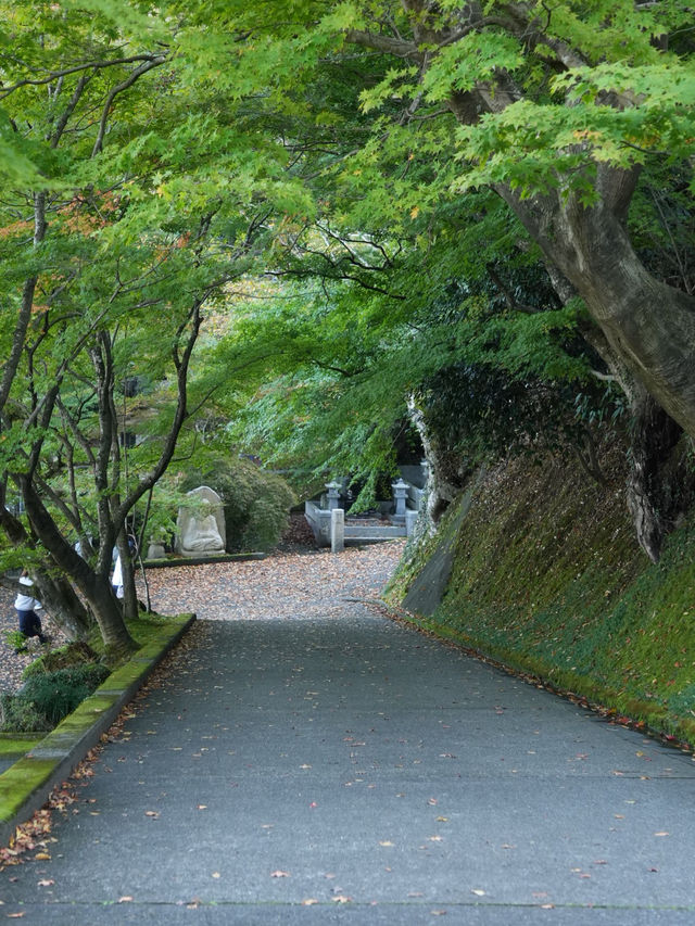 色づく紅葉の絶景スポット 可愛い石像がいっぱい 色づく紅葉の絶景スポット 可愛い石像がいっぱい