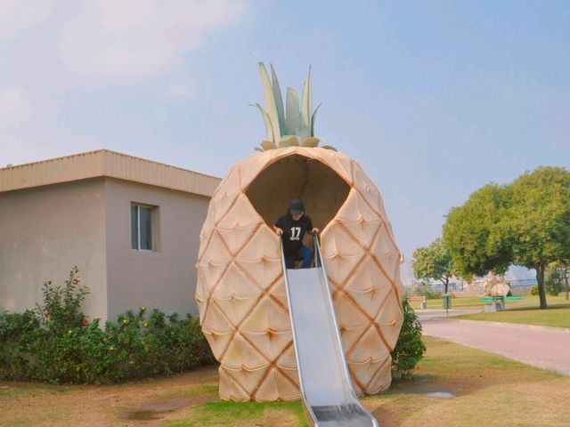 🇴🇲오만 무스카트 가볼만한 곳! 파인애플 미끄럼틀이 있는 리얌 공원🍍