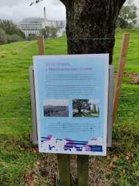 Cornwall Park, Auckland: Where History Meets Nature