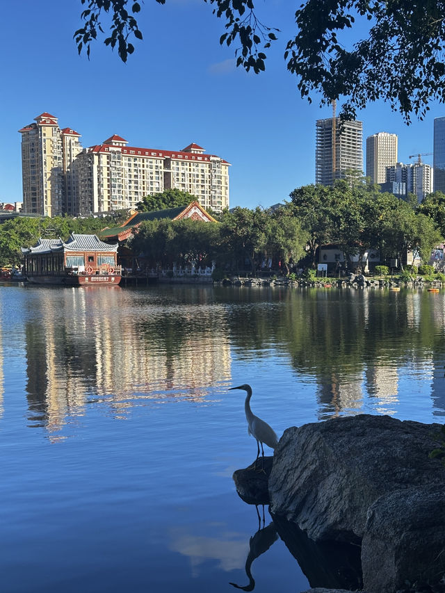 珠海圓明新園1:1