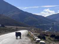 Bai Ma Snow Mountain