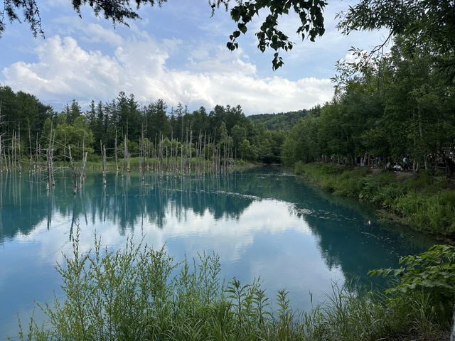 北海道—青池