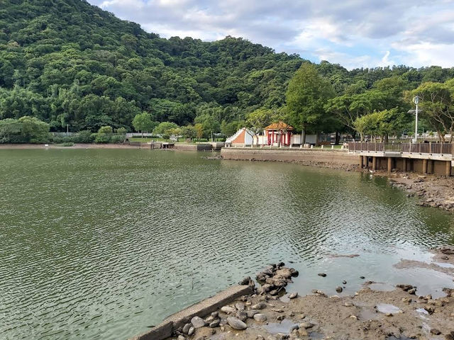 🌸🦆 Tranquil Reflections at Dahu Park 🌿🌊