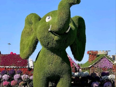 A Blooming Wonderland of Color and Creativity