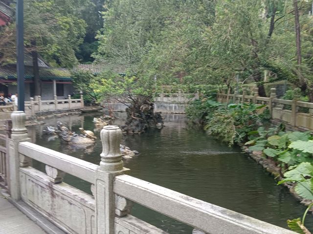 漫步國恩寺人文景致🌧️11月内地游 漫步國恩寺人文景致🌧️11月内地游