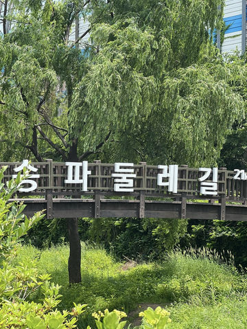 자연 따라 걷는 도심 속 산책길, 송파둘레길 나들이