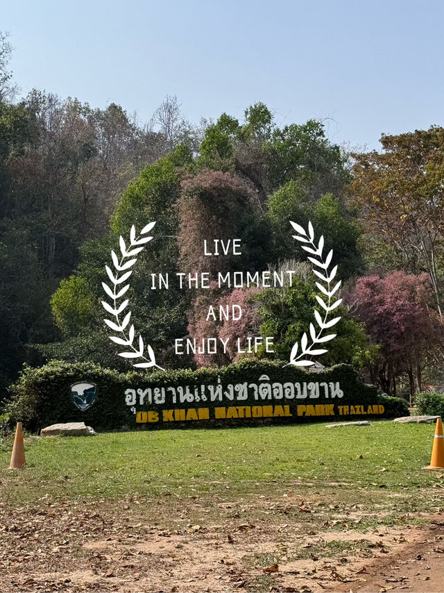 ให้ออบขาน โอบกอดเรา⛰️🍃✨ ให้ออบขาน โอบกอดเรา⛰️🍃✨