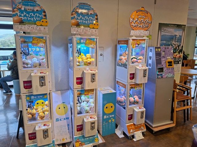 ✨️自駕遊日本🇯🇵淡路島洋蔥打卡攻略🧅📸 ✨️自駕遊日本🇯🇵淡路島洋蔥打卡攻略🧅📸