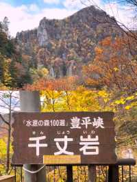 🍁札幌必打卡！深秋豐平峽水庫紅葉絕景全攻略