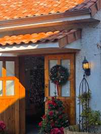 🌳🎄인천 로즈스텔라정원 ❄️