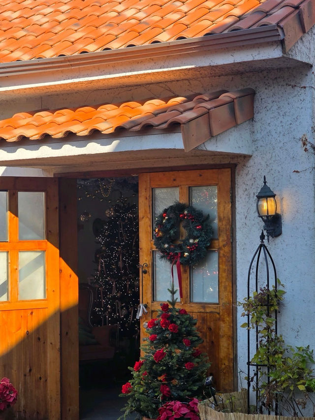 🌳🎄인천 로즈스텔라정원 ❄️