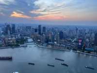 The view from the Oriental Pearl Radio & Television Tower 🏙️🗼🌊