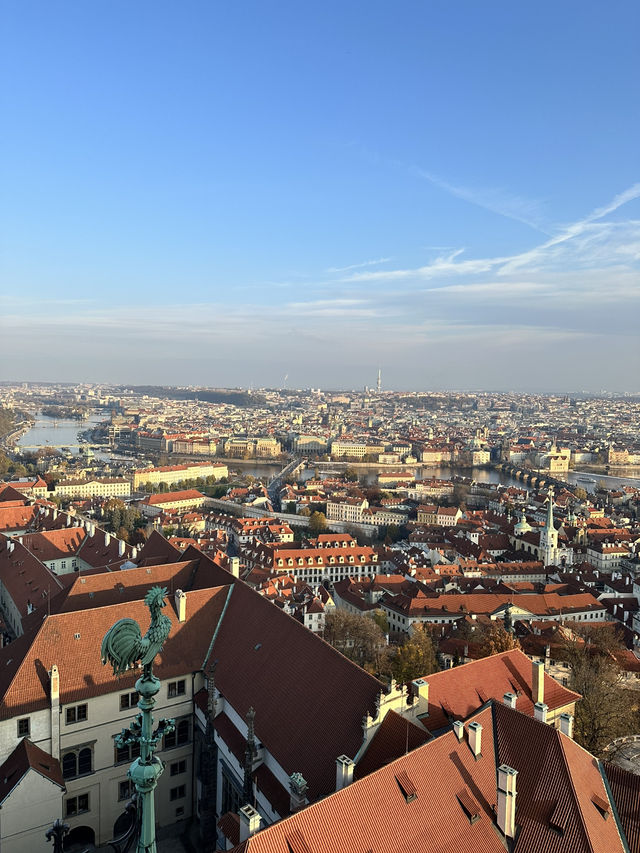 ํ๋ผํ์ฑ ํ๋ผํ์ฑ