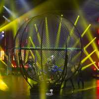 Phuket Circus (The Adrenaline Rush)