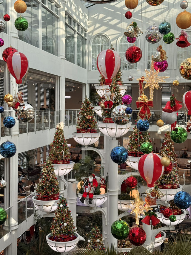 🎄 겨울빛이 스며드는 대형 카페, 포레스트아웃팅스 용인 🎄