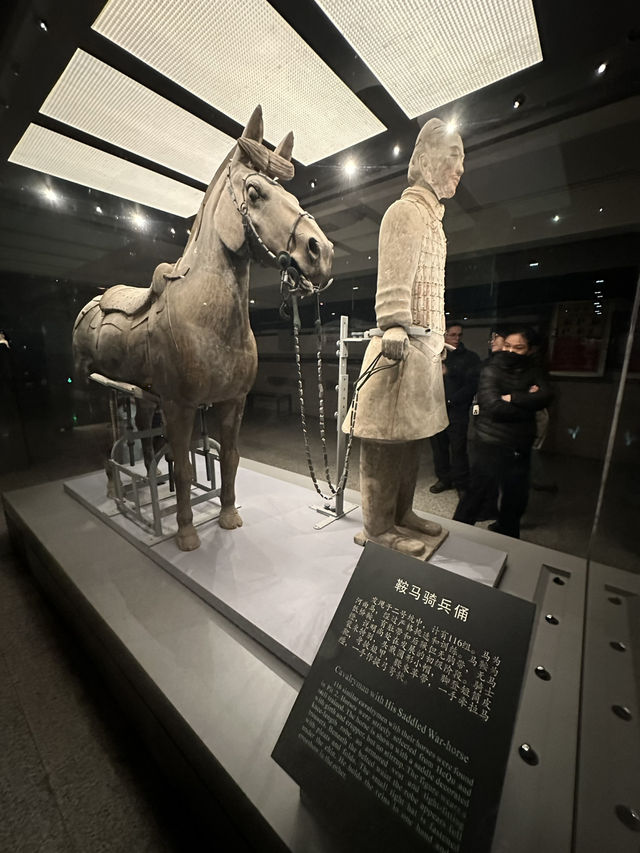 🌟 A Day at the Terracotta Warriors — One of the World’s Greatest Archaeological Wonders 🌟