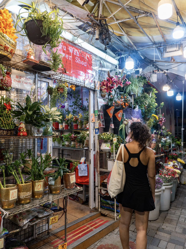 A Stroll Through the Streets of North Point 