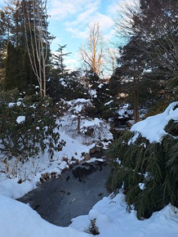 ハリファックス冬限定プラン：雪景色の庭園散策＋Canton Gardenで中華料理を堪能