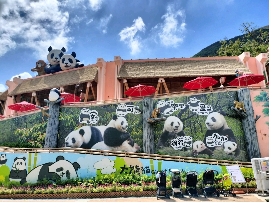 パンダに会える💕香港オーシャンパーク | Trip.com 香港