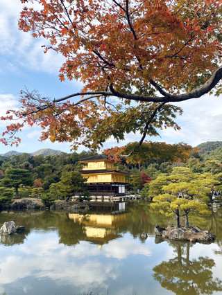 🍁 京都-和平之城