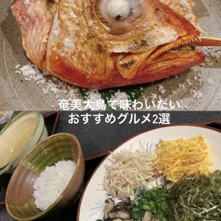 【鹿児島/奄美大島】奄美大島で味わいたいおすすめグルメ2選