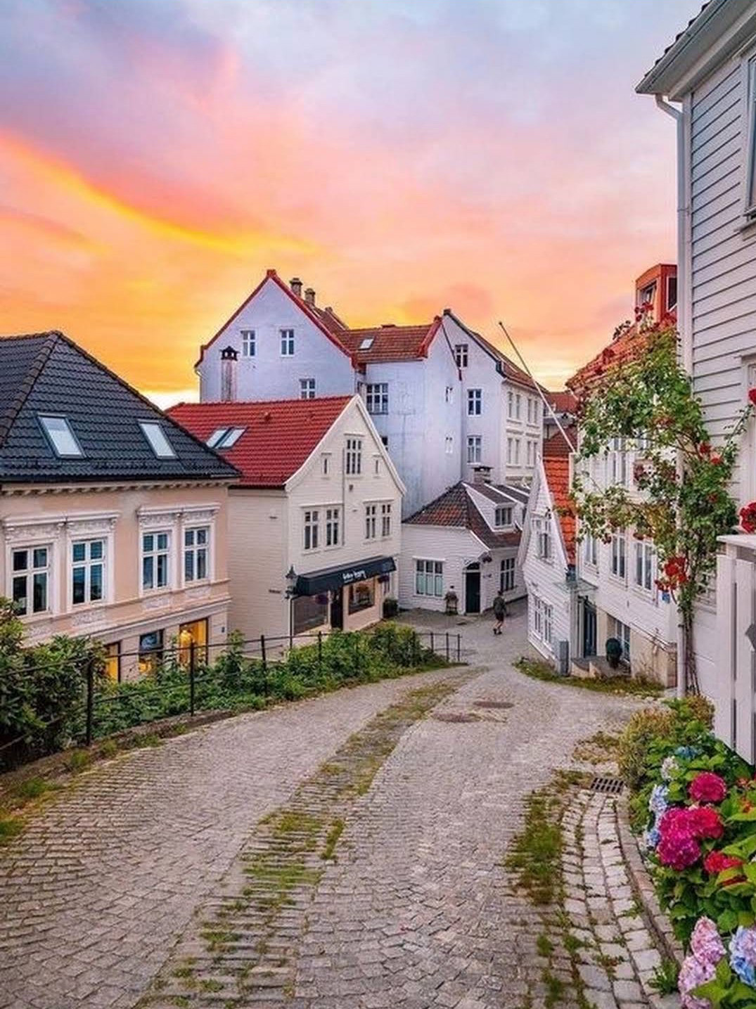 Bryggen