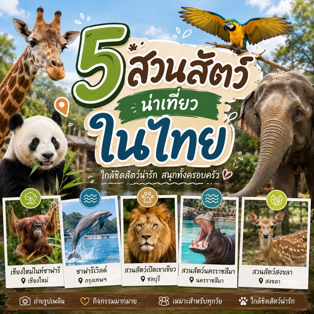 🦒 5 Must-Visit Zoos in Thailand 🐾