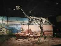 🦕 Baoding Natural History Museum | Bigger, Better, and Worth the Journey