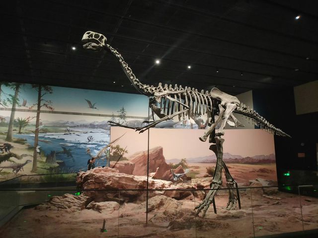 🦕 Baoding Natural History Museum | Bigger, Better, and Worth the Journey