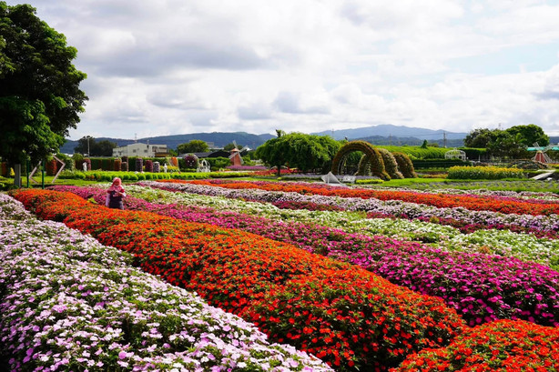 花盛りの台中！フォトジェニックな写真と癒やしの休日を求めているなら