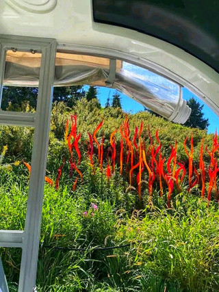 A Different Side of Chihuly in Autumn 🍁🎨