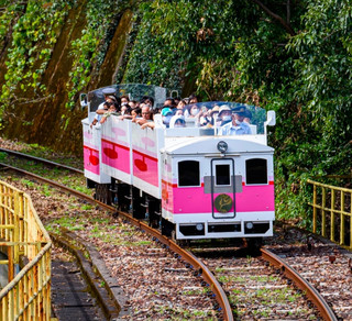 đŻđľăMiyazaki/TakachihoăAmaterasu Railway: Stunning Scenery & Ticket Strategiesđ