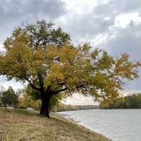 Fairbanks park Indianapolis USA