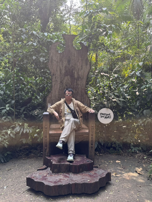 巴西伊瓜蘇鳥園全攻略 | 一場親近自然的熱帶雨林之旅🌿