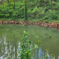 Experience one of the largest natural cave entrances in the Eastern U.S. 