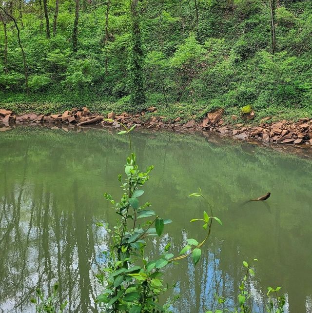 Experience one of the largest natural cave entrances in the Eastern U.S. 