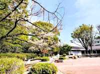平和之森公園