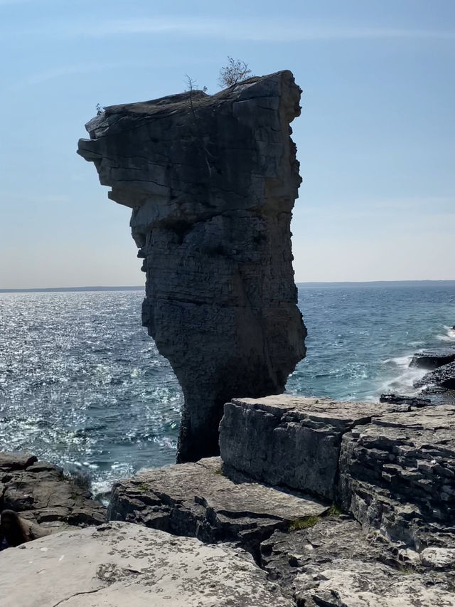 Flowerpot Island in Spring
