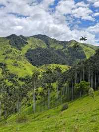 🌟走進《魔法滿屋》的一天｜La Carbonera & Cocora Valley 棕櫚樹仙境攻略 🇨🇴
