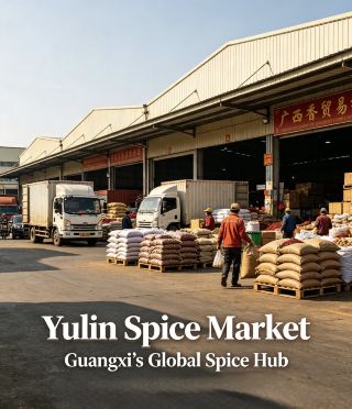 🌶️ Inside Yulin Spice Market: Where the World's Spice Game Begins